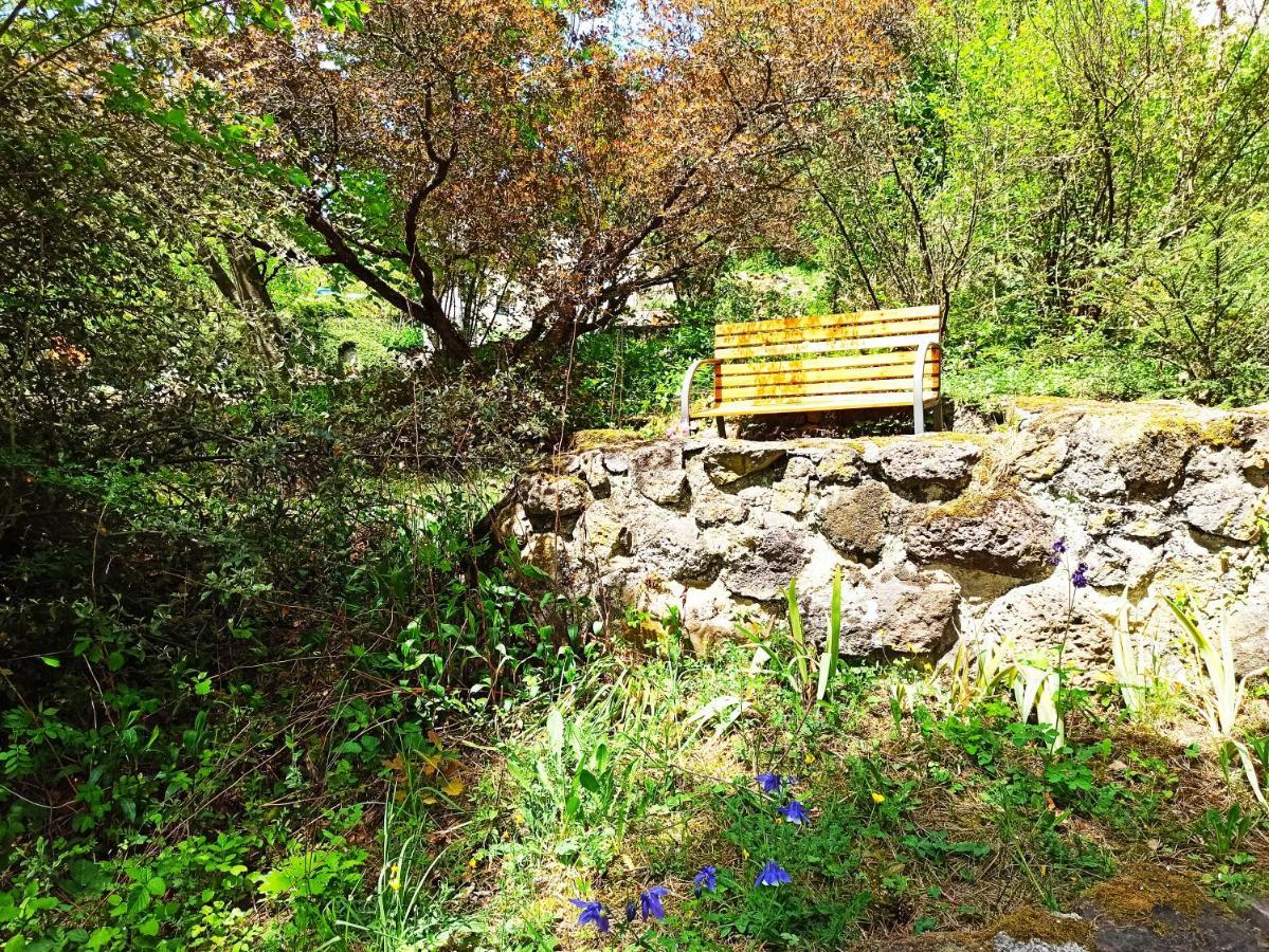 Les Apparts Du Vignal De Cheyrac Polignac  Exterior photo